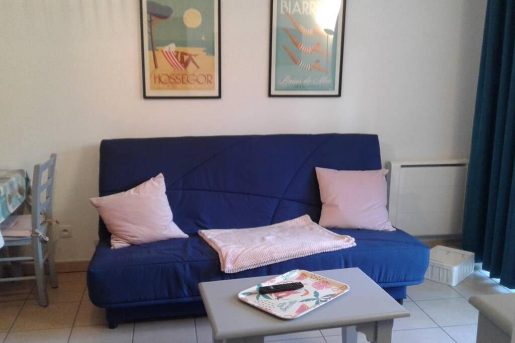 T2 Antigua Ondres Plage Avec Piscine Et Tennis 외부 사진